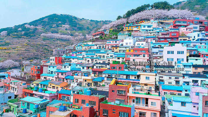 甘川文化村彩色小屋像童話！爬坡拍照拍到腿軟但超值得