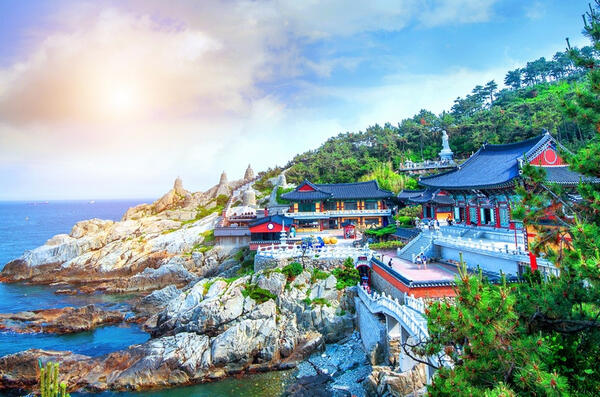 海東龍宮寺海邊看海景!浪花拍在廟前,真的感動!